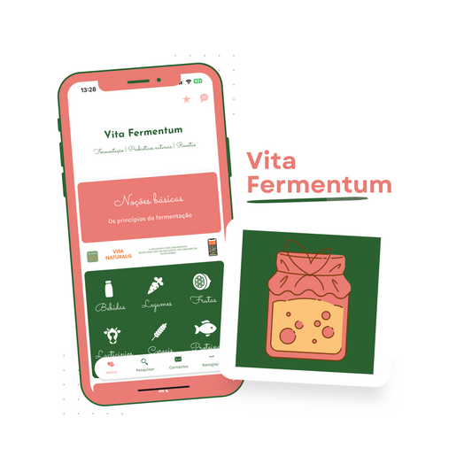 VITA FERMENTUM - The magic of fermentation